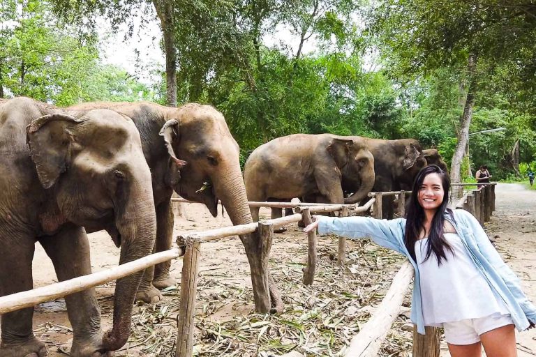 Lady At The Elephant Haven Thailand Visiting The Elephants In Kanchanaburi Province