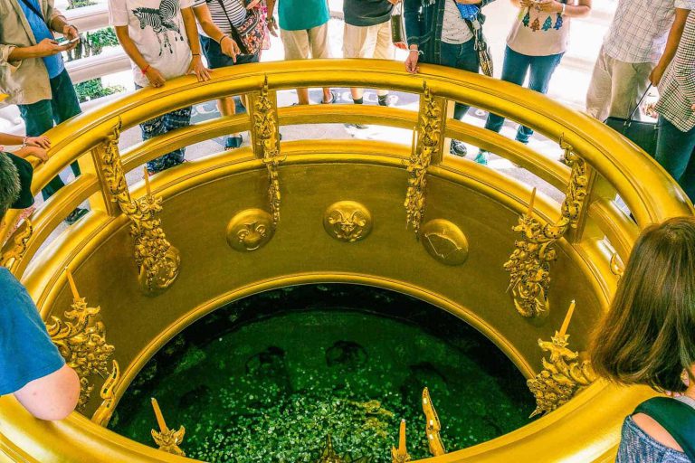 People Looking In The Emerald Color Pond At Wat Rong Khun, The White Temple In Chiang Rai