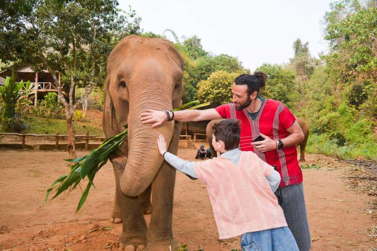 Play with elephant at Toto Elephant Sanctuary