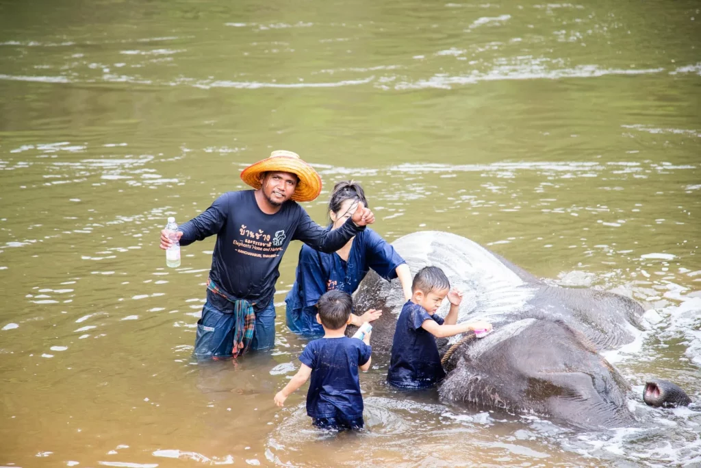 floating market damnoen saduak & elephant experience