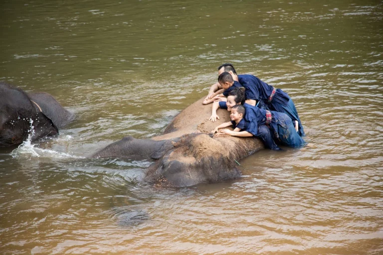 floating market damnoen saduak & elephant experience