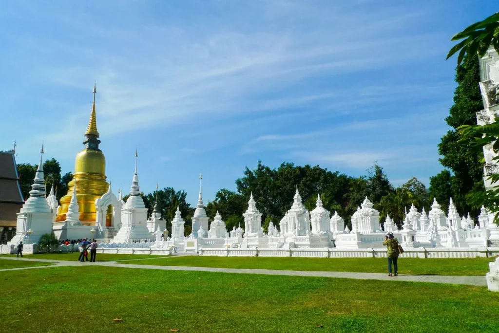 wat suan dok 11